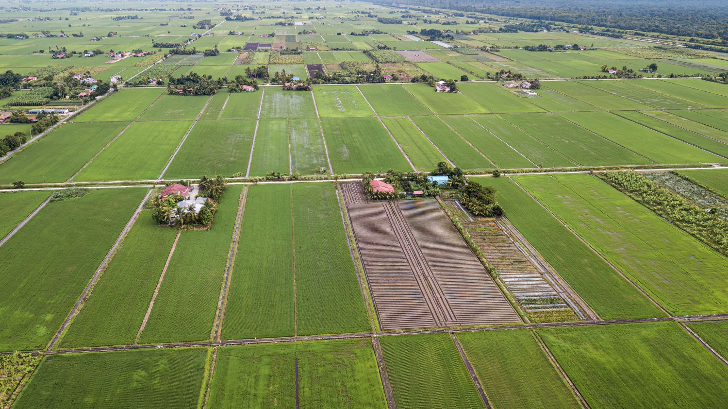 โดรนในการเกษตร